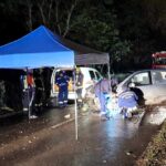 Drámai baleset Dunakeszinél – Azonnal meghalt a sofőr, fékezés nélkül csapódott fának az utánfutós autó – Fotók