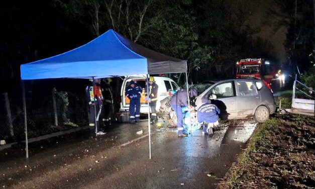 Drámai baleset Dunakeszinél – Azonnal meghalt a sofőr, fékezés nélkül csapódott fának az utánfutós autó – Fotók