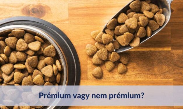 Hogyan igazodjunk el a kutyatáp összetevői kapcsán?