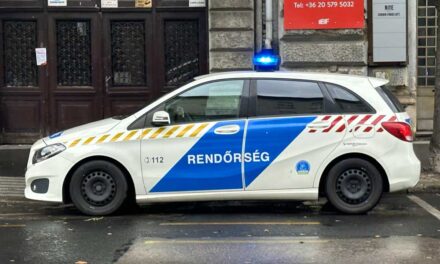 Fogva tartották és lapáttal verték a betörőket, az egyik férfit egy lapostévéért cserében engedték szabadon