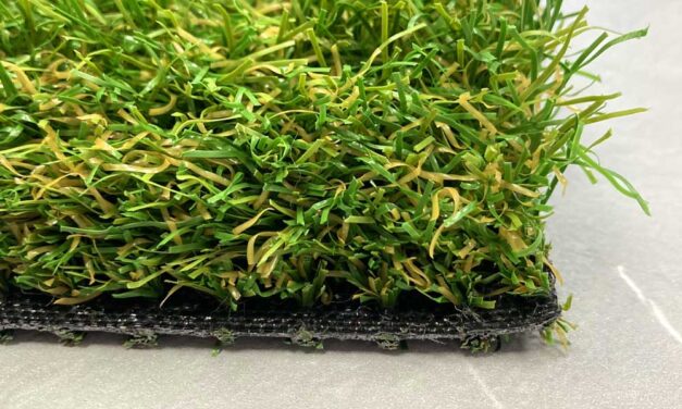 Műfű nem csak kétlábúaknak: A műfű előnyei állatbarát otthonokban