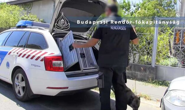 Lúzer drogkereskedők: egy családi veszekedés miatt hívták ki a rendőröket magukra, a zsaruk még a hűtőben is kábszert találtak