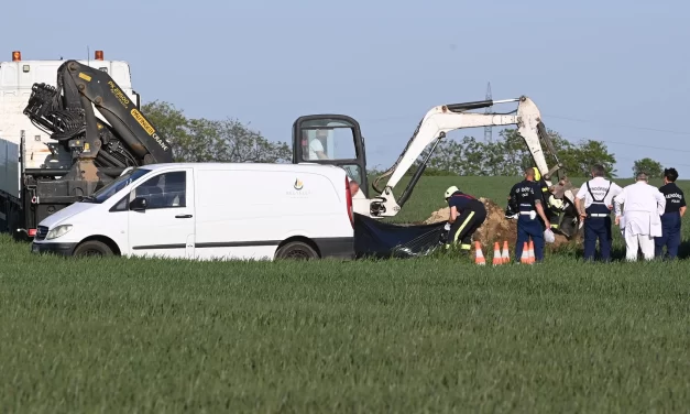 A Vértesi Erőmű korábbi elnöke, a milliárdos vállalkozó zuhant le Martonvásárnál, Besenyei Péter egykori repülőjével, az üzletember és 19 utasa azonnal szörnyethalt