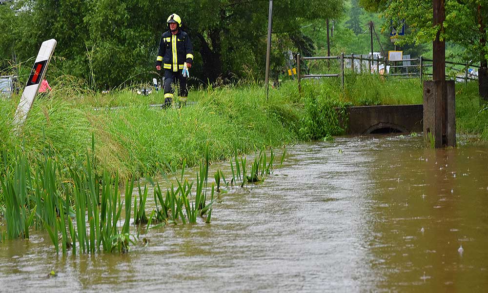 Hömpölygött a víz, betörtek a patakok a kertekbe – ilyet a helyiek sem láttak még Budapest közelében – FOTÓK