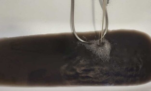 Undorító fekete víz folyik a csapokból Dunavarsányban, a vízművek szerint csúnya, de iható –  Azt kérik a helyiek, hogy akkor igyon belőle a DPMV Zrt. vezérigazgatója