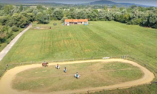 Súlyos baleset a nyári táborban: megrúgott a ló egy 8 éves kislányt, mentőhelikopterrel vitték kórházba