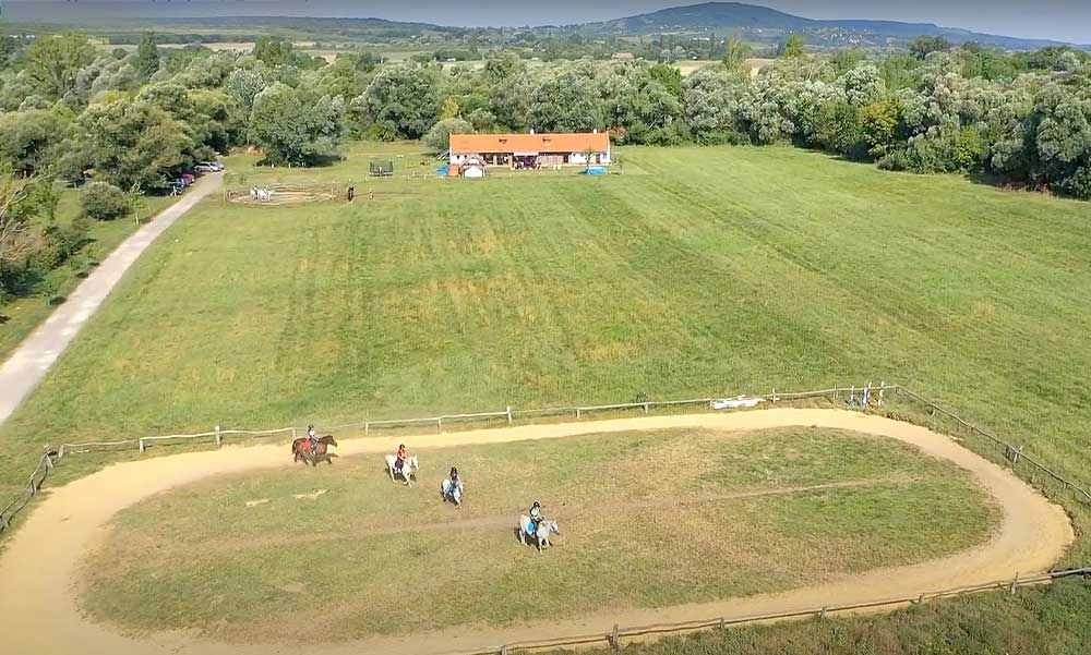 Súlyos baleset a nyári táborban: megrúgott a ló egy 8 éves kislányt, mentőhelikopterrel vitték kórházba