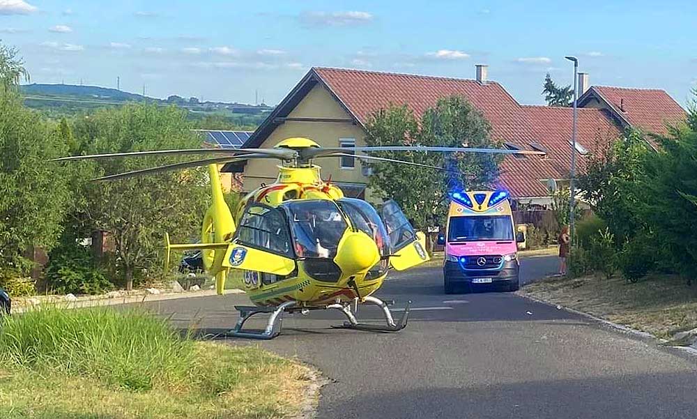 Focizás után összeesett a kertben és meghalt egy 11 éves kisfiú