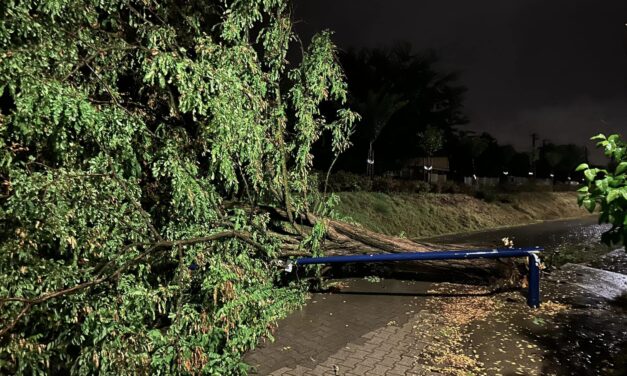 Óriási pusztítást végzett a vihar Dunakeszin, oszlopot és fákat döntött ki a szél: Vác és Balassagyarmat között több fa is a sínekre dőlt