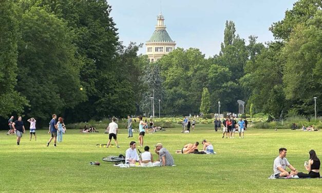 Az árvíz miatt ellensúlyokkal támasztották ki a fákat, a főpolgármester most bejelentette: végre újranyitják a Margitszigetet