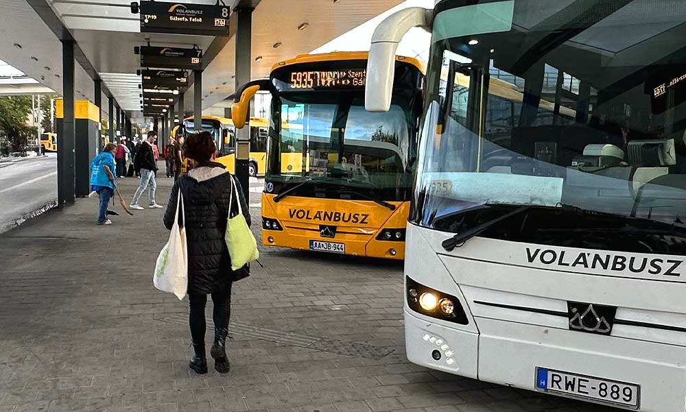 Kutyakomédia: a MÁV vezérgigazgatója vasárnapra az összes klímás buszt Kelenföldre rendelte, pedig szombaton lett volna szükség igazán rájuk