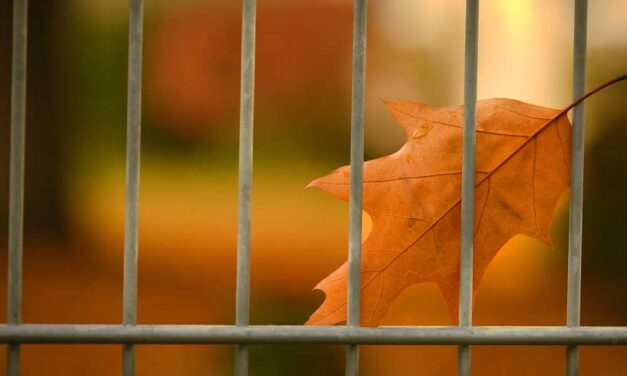 Egyszerű mód, hogy a kerítésépítés ne legyen bonyolult feladat