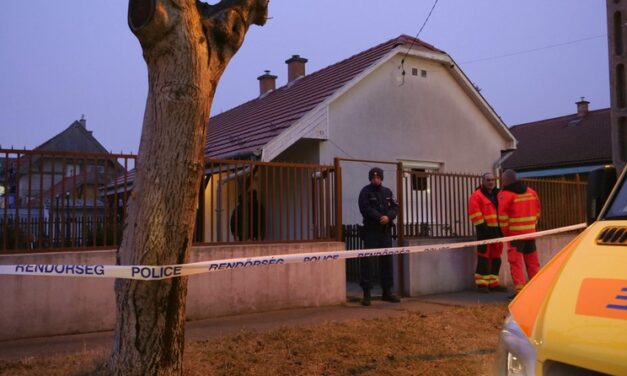 Csepeli anyagyilkos: 40 évig óvónőként dolgozott Éva, aki szilveszterkor kivégezte anyját