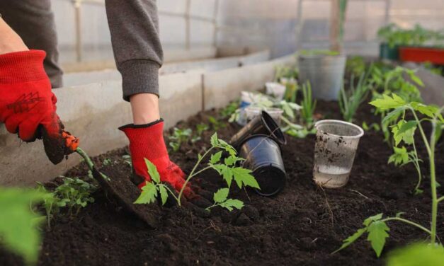 Hasznos eszközök a kertben
