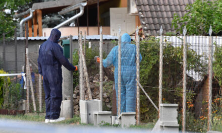 Halálra verte feleségét egy szigethalmi férfi, a rendőrség hajtóvadászatot indított ellene – fotó a cikkben