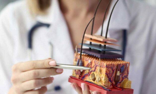 Ön tudja, hogy milyen szakaszai vannak a haj növekedésének?