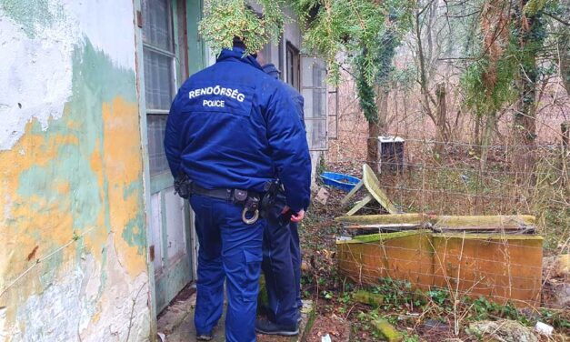 „Fel akartam hívni anyukámat, a bácsi kitépte a telefont a kezemből” – megszólalt a sárisápi rém áldozata, a 10 éves kislányt elrabolta, majd megrontotta a hajléktalan