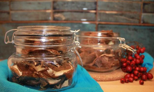 Így válasszunk gombatartalmú készítményeket!