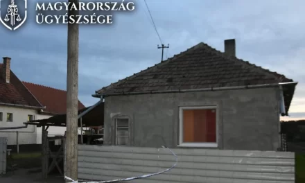 Sokkolóval kínozta és halálra éheztette a rabszolgaként tartott nőt a házaspár: a piliscsévi nő holttestét egy autóból dobták ki