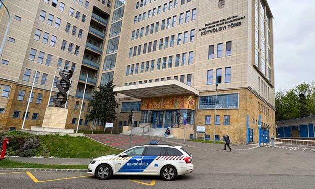 Dráma a Kútvölgyi kórházban: golyóálló mellényes rendőrök kísértek egy élet-halál közt lebegő sérültet az intenzívre, a férfi fejbe lőtte magát Törökbálinton