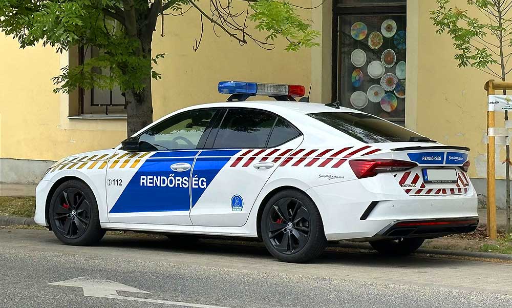 Undorító: házaséletet élt 8 éves dédunokájával egy tatai férfi