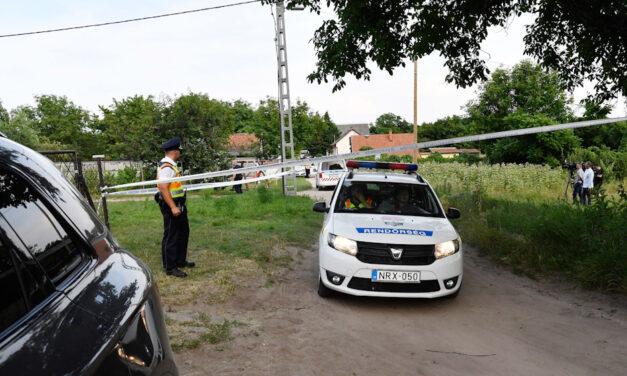 Halálra marta a család kutyája az egyéves Danikát, az anya csak jóval később vette észre, hogy mi történt a gyermekével