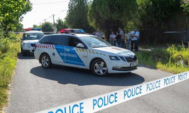 „Torkon szúrta magát” – az anyját védte a 11 éves kisfiú, amikor apja megszúrta, újabb részletek derültek ki a bácsalmási családi drámáról