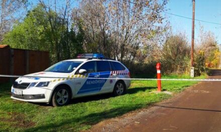 Gyilkosság Tápiószőlősön: szőnyegbe csavarva találták meg az idős asszony holttestét