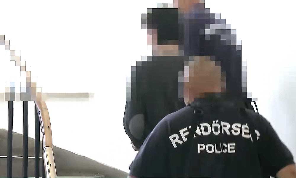 Családi vérfürdő: előre eltervezhette édesanyja és nagymamája megölését a 13 éves fiú, az apja is célpont lehetett