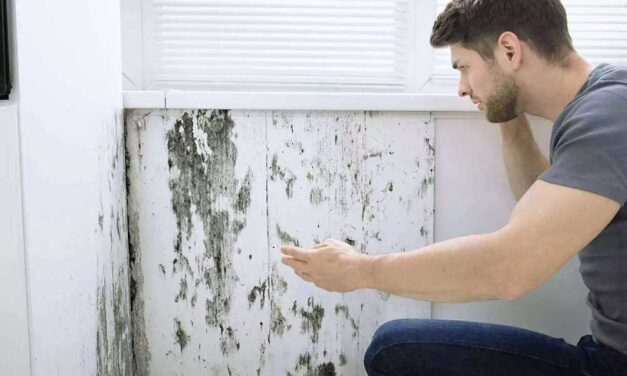 3 gyakori „vizes” probléma otthon, és a megoldásuk