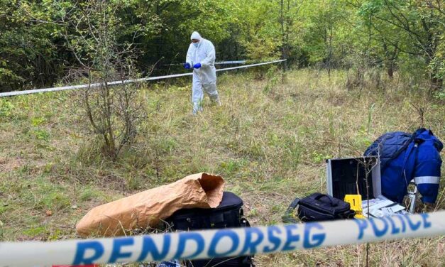 „Itt valami nem kerek” – a Pilisben holtan talált Kaszás Nikolett családja és barátai nem hiszik, hogy a 27 éves nő önszántából akart meghalni