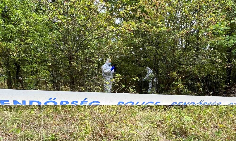 Monoron mindenki Kaszás Nikolettet gyászolja: a 27 éves nő önkezével végezhetett magával a Pilisben