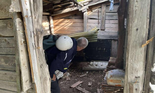 Így találták meg a 3 hete eltűnt Kaszás Nikolett holttestét a Pilisben: közleményt adott ki a rendőrség