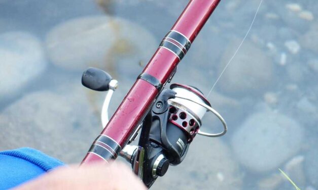 Hogyan használjuk a plasztik csalit eredményesen?