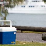 Milyen hűtőtáska a legjobb választás?