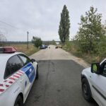 Falkába verődött kutyák támadtak meg egy nőt Pécelen, az ebek úgy bevadultak, hogy 6 állatot ki is kellett lőni