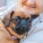 Kinek való a mopsz – és kinek nem?