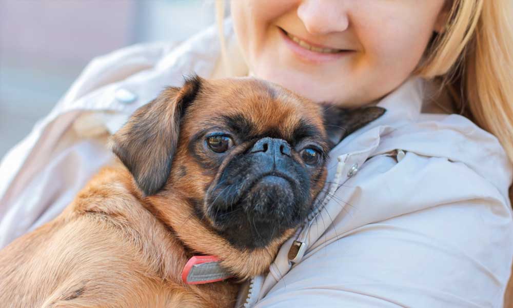 Kinek való a mopsz – és kinek nem?