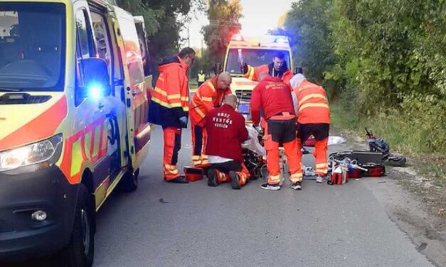 Halálos vadbaleset Nagykőrösön: őzzel ütközött egy rolleres, a férfi életét nem tudták megmenteni