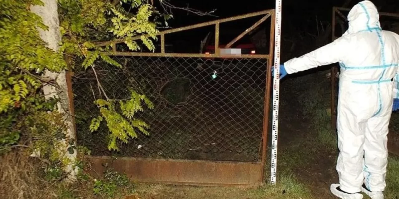 Holtan találtak egy nyugdíjast Tápiószőlősön: fejszével és kőműveskalapáccsal végeztek vele