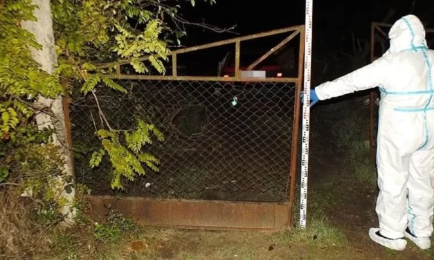 Holtan találtak egy nyugdíjast Tápiószőlősön: fejszével és kőműveskalapáccsal végeztek vele