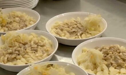 Nyomoz a rendőrség az angyalföldi tömeges ételmérgezés miatt, közel 600 gyerek betegedett meg a menzakajától