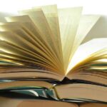 Helytörténet és honismeret: miért fontos ismernünk a múltat? 