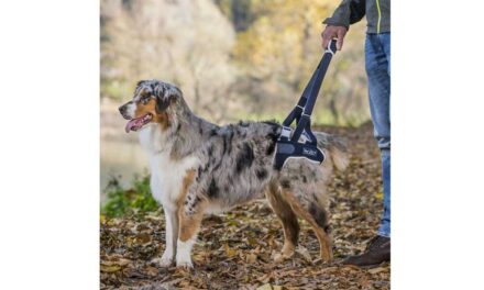 Biztonságos segítség a legnehezebb pillanatokban