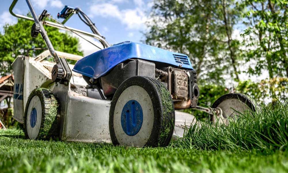 Az álomkert nem álom: a zöld pázsit titkai