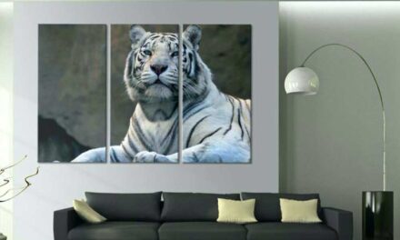 Kreatív faldekoráció: vászonképek és faliképek otthonában