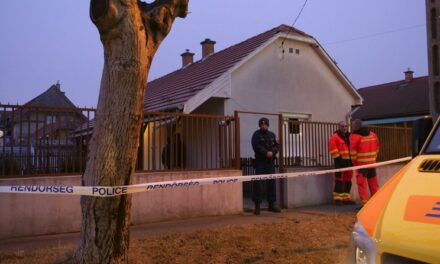 Csepeli anyagyilkos: vádat emeltek az óvónő ellen, aki azért végzett anyjával, mert az asszony egész életében irányította az életét
