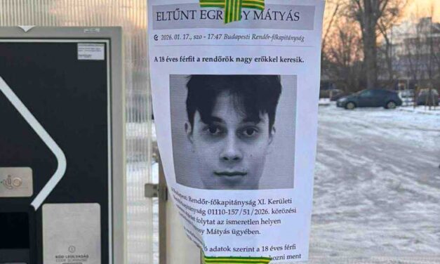 Egressy Mátyás eltűnése: több száz önkéntes civil fésüli át a fővárost, plakátokkal is keresik a zavarodott állapotban lévő 18 éves fiút