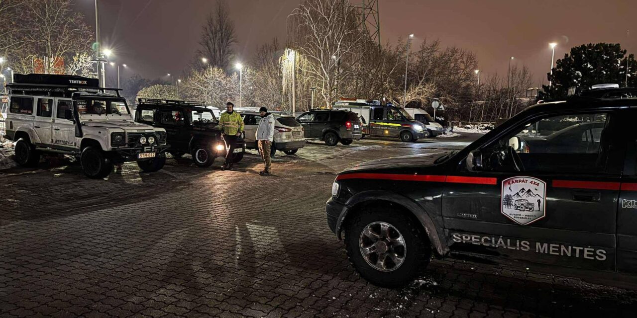 Eltűnt egy 77 éves demens asszony Gyálról, egész éjjel keresték, életveszélyben lehet – fotó a cikkben