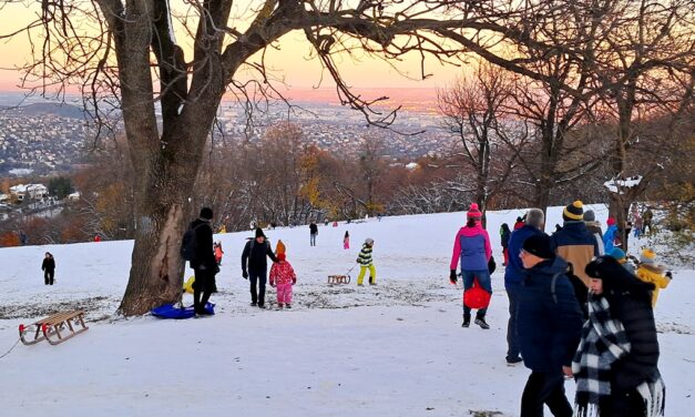 Olyan sokan mentek szánkózni a Normafára, hogy senkit nem engednek fel autóval